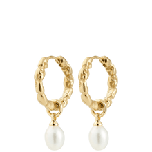 Gold hoop earrings with pearl drops on a white background
