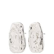 Pair of silver earrings on a white background