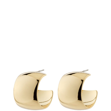 pilgrim-talulla-gold-chunky-hoop-earrings (3).jpg
