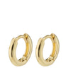 Pair of gold hoop earrings on a white background