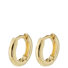 Pair of gold hoop earrings on a white background