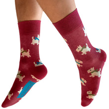 A pair of crew socks worn on a person's feet, shown against a plain white background. The socks are dark red with a repeating pattern of small white dogs wearing blue and green scarves.