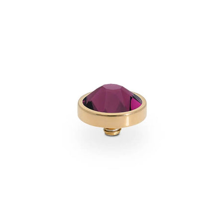 Qudo Canino 9mm Gold Topper - Amethyst