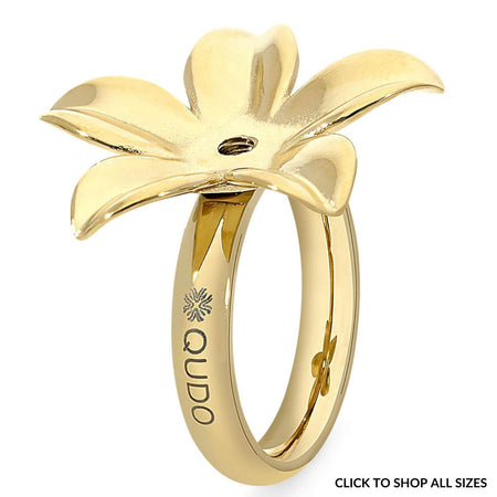 Qudo Pescia Gold Ring Band