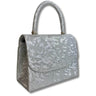 silver ladies occasion grab bag