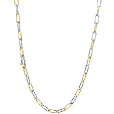 Two-tone gold and silver chain necklace on a white background
