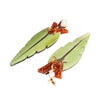 TooLally Kingfishers Earrings - Jade Stone