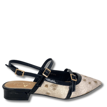 Black sandal with gold buckle on a white background