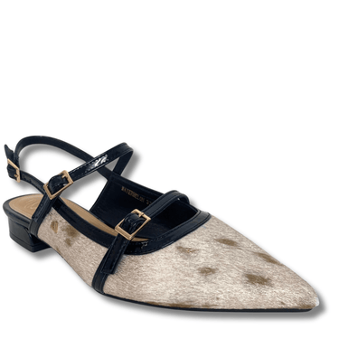 Pointed-toe shoe with black strap and gold buckle on a white background