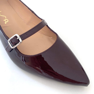 Shiny brown shoe with a strap and buckle on a white background