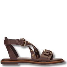 Brown sandal with gold accents on a white background