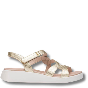 wonders-gold-leather-velcro-strap-sandals