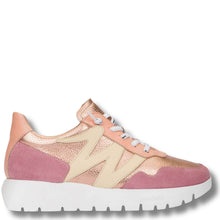 Pink and beige sneaker on a white background