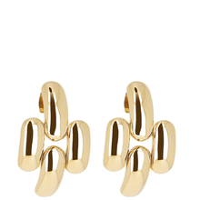 Pair of gold earrings on a white background