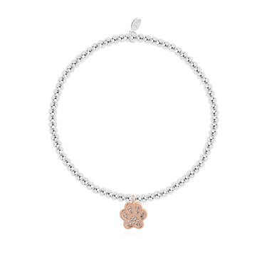 Joma Love Has Four Paws Bracelet