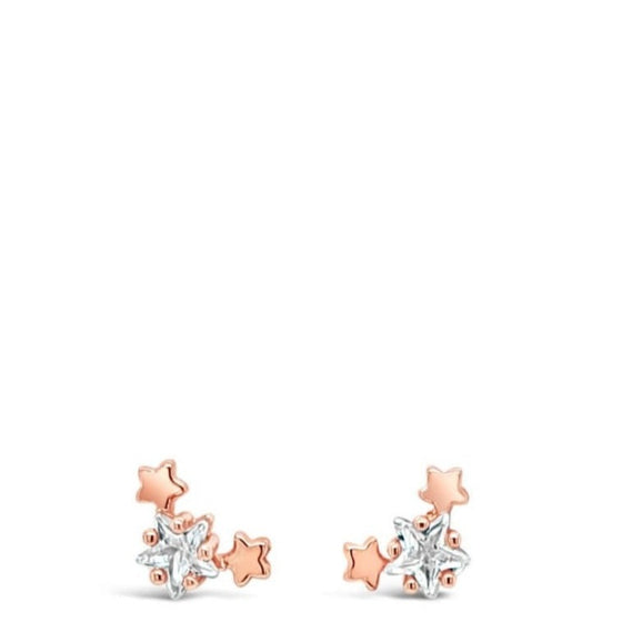 Absolute Rose Gold Tiny Star Stud Earrings