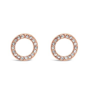 Absolute Rose Gold Circle Earrings