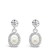 Absolute Silver Drop Earrings E2003SL