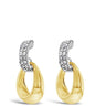 Absolute Gold & Silver Earrings
