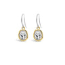 Absolute Gold & Silver Earrings