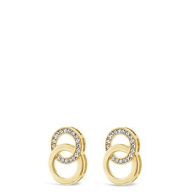 Absolute Gold Earrings