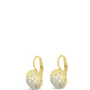 Absolute Sparkler Drop Earrings - Gold E2138GL