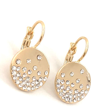 Absolute Sparkler Drop Earrings - Gold E2138GL