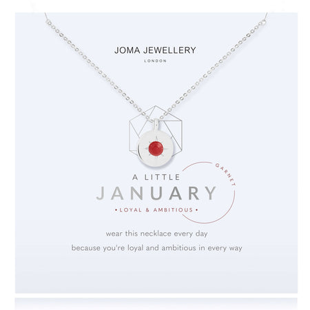 Joma Birthstone Necklace - January