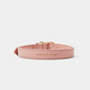 Katie Loxton Pet Collar - Pink
