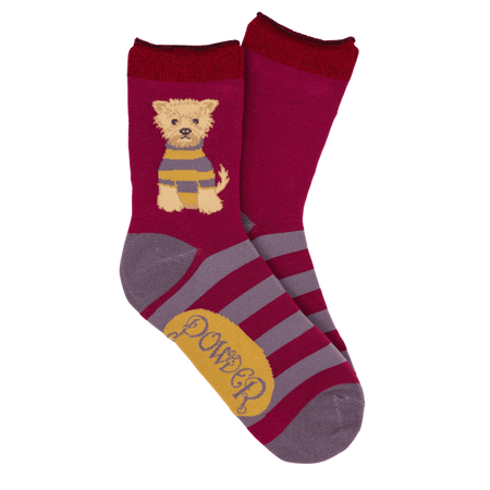 Powder Wooly Westie Ankle Socks - Damson