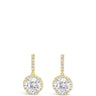 Absolute Gold & Crystal Drop Earrings