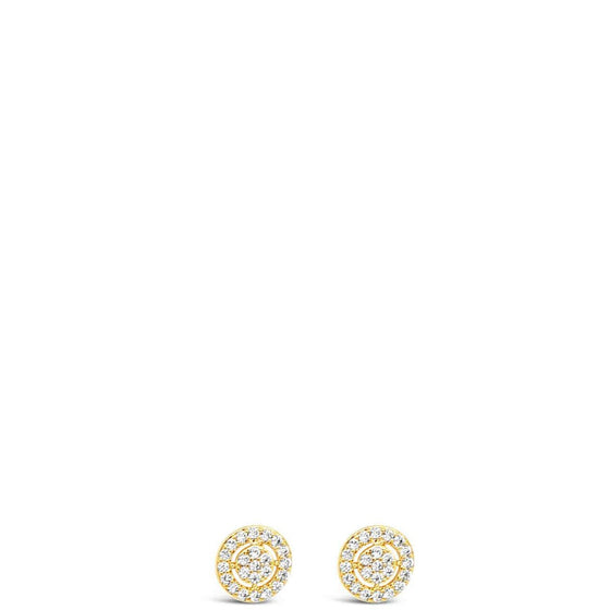 Absolute Gold Small Halo Stud Earrings