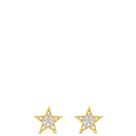 Absolute Gold Small Star Stud Earrings