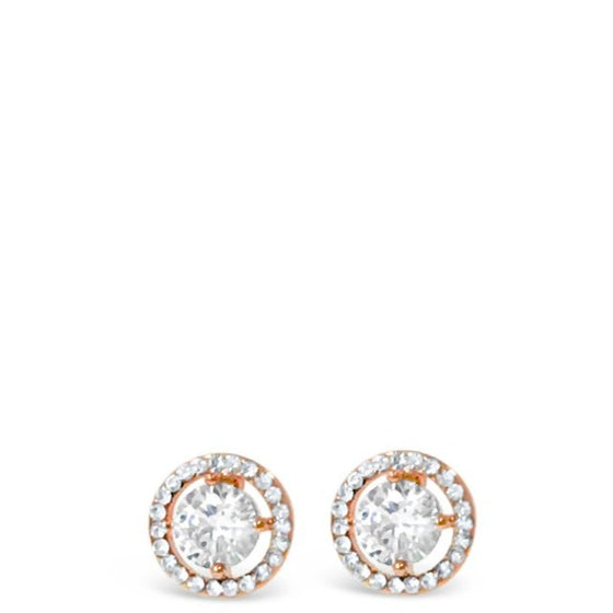Absolute Rose Gold Circle Stud Earrings e1024rs