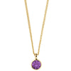 Dyrberg Kern Ette Gold Necklace - Amethyst