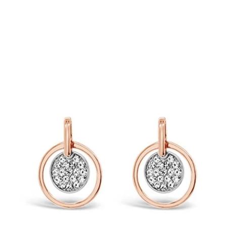 Absolute Rose Gold Circle Earrings